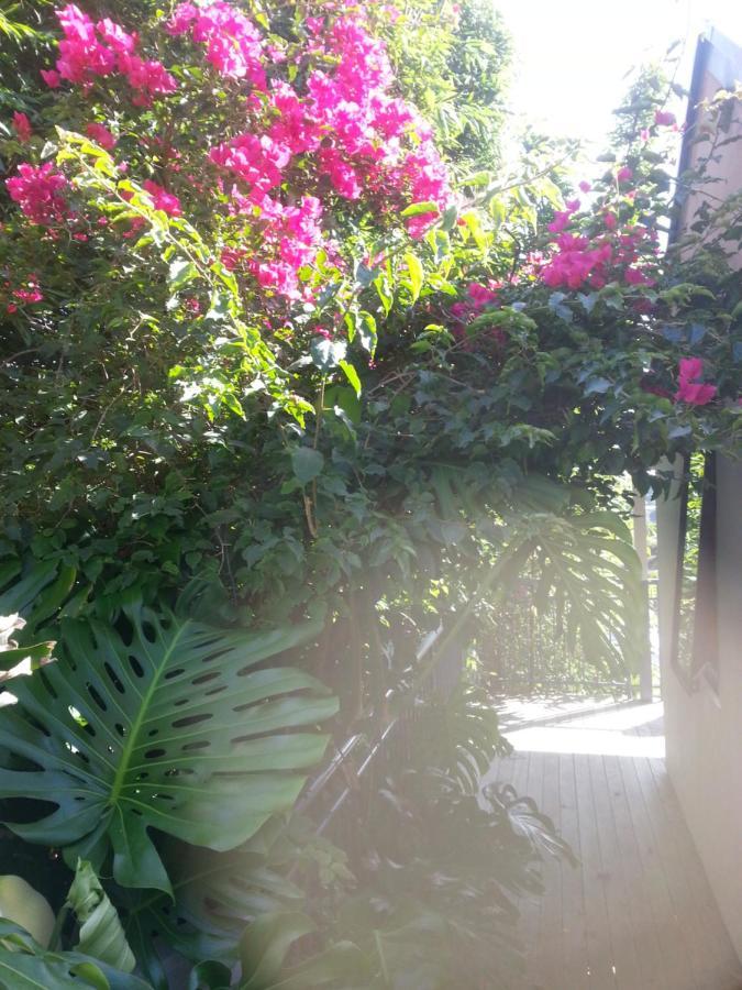 Supacute Character Cottage, Wifi, Sky Tv, Spa Bath, Spa Bath, Dble Kayak And Possibly A Car! Palm Beach Exterior photo